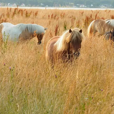Landhuis Strandhof Holnis *