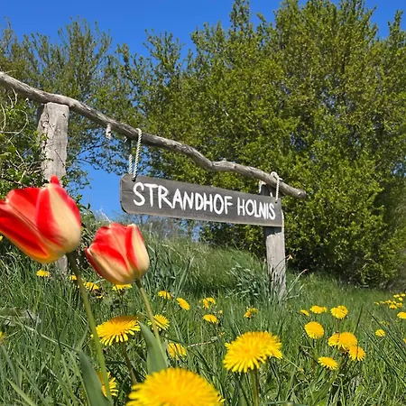 Strandhof Holnis *