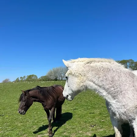 Strandhof Holnis * Glücksburg